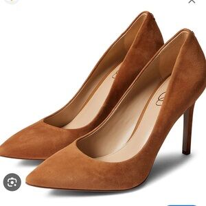 Sam Edelman Hazel Pointed Toe Pump